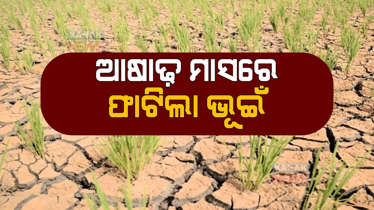  ଆଷାଢ଼ରେ ଫାଟିଲା ଭୂଇଁ। ଲୁଚକାଳି ଖେଳିଲା ମୌସୁମୀ, ନିଅଣ୍ଟିଆ ବର୍ଷାରେ ସରିଗଲା ଜୁନ୍।