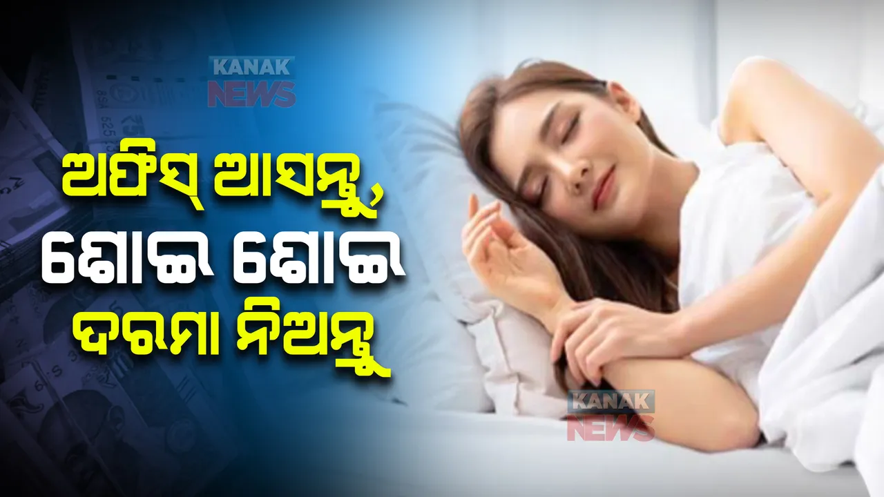  ଶୋଇବାକୁ ଅଫିସ ଆସିଲେ ମିଳିବ ମୋଟା ଅଙ୍କ ଦରମା । ଏହି କମ୍ପାନୀ ଦେଉଛି ଏଭଳି ଚାକିରି