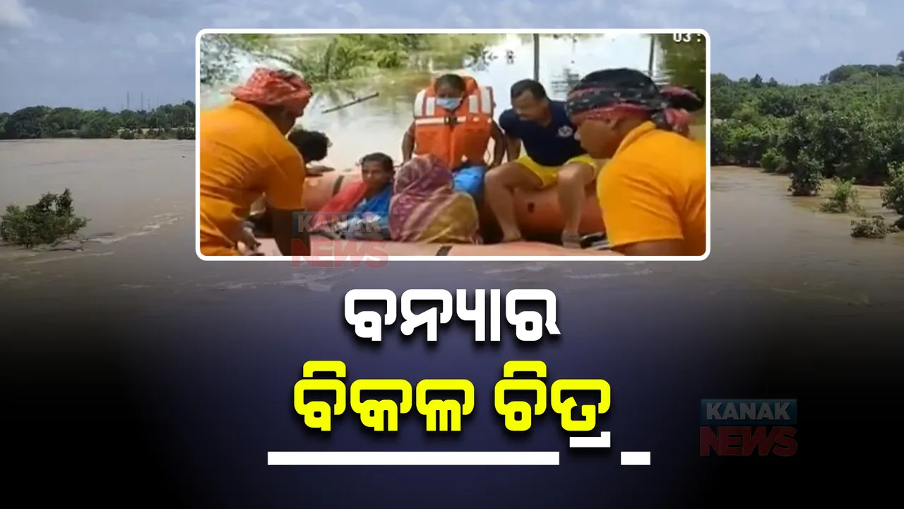  ବନ୍ୟାର ବିକଳ ଚିତ୍ର