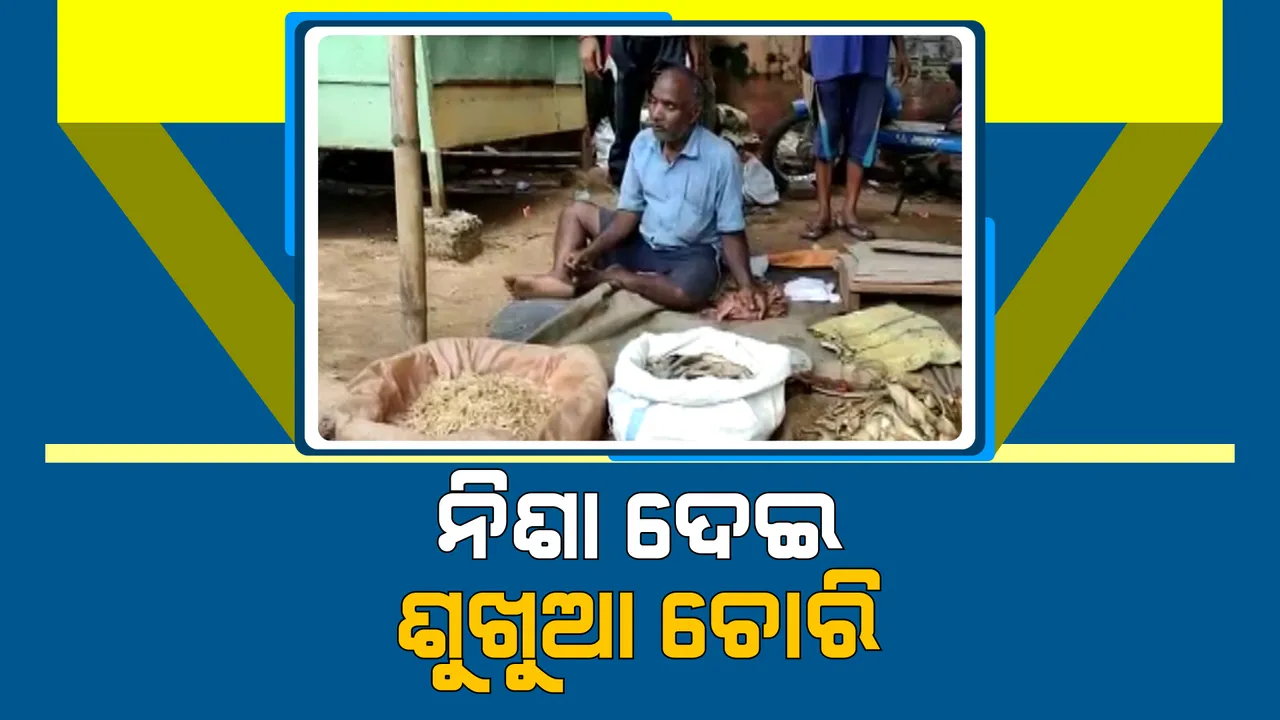  ଢେଙ୍କାନାଳ ସହରରେ ମାତିଛନ୍ତି ଲୁଟେରା: ନିଶା ଦେଇ ଲୁଟିନେଲେ ୫ କେଜି ଶୁଖୁଆ ଓ ୨୫ ଶହ ଟଙ୍କା