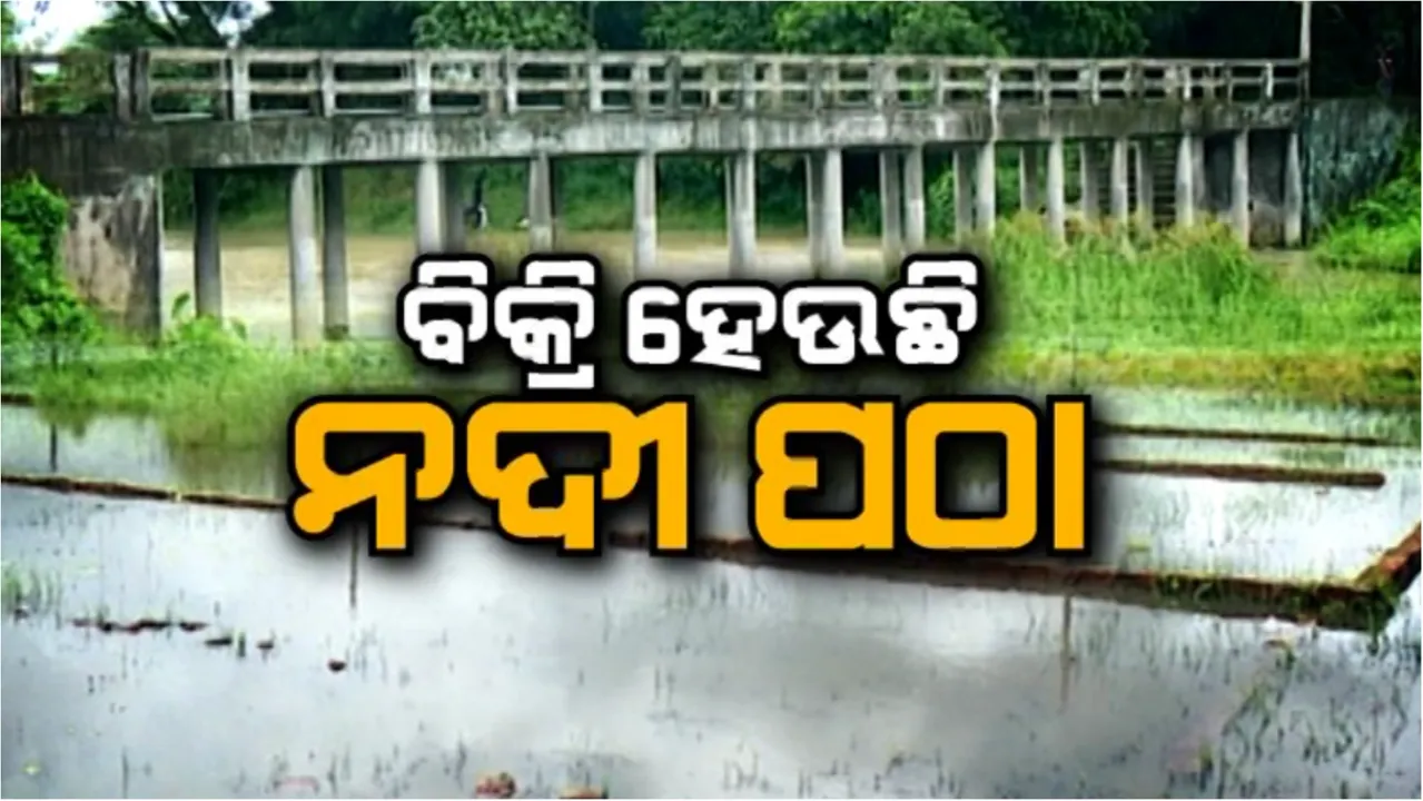  ବଢୁଛି ବିଲଡର, ଜମି ମାଫିଆମାନଙ୍କ ଦୌରାତ୍ମ୍ୟ: ବିକ୍ରି ହେଉଛି ନଦୀ ପଠା, ପୋତି ହେଉଛି ନଦୀ