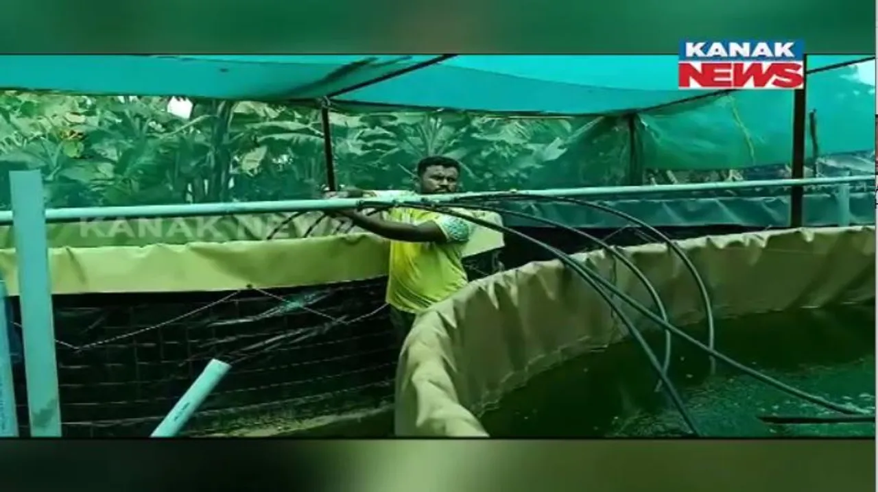  ବି-ଟେକ୍ ପଢୁଆ ଯୁବକଙ୍କ ହାଇଟେକ୍ ଚାଷ। ବାର୍ଷିକ ରୋଜଗାର କରୁଛନ୍ତି ୭ରୁ ୮ ଲକ୍ଷ ଟଙ୍କା।