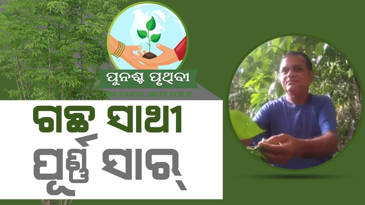  ଗଛ ସାଥୀ ପୂର୍ଣ୍ଣ ସାର୍, ଗଛ ଲଗାଇ ଅନ୍ୟମାନଙ୍କ ପାଇଁ ସୃଷ୍ଟି କରିଛନ୍ତି ବଡ ଉଦାହରଣ।