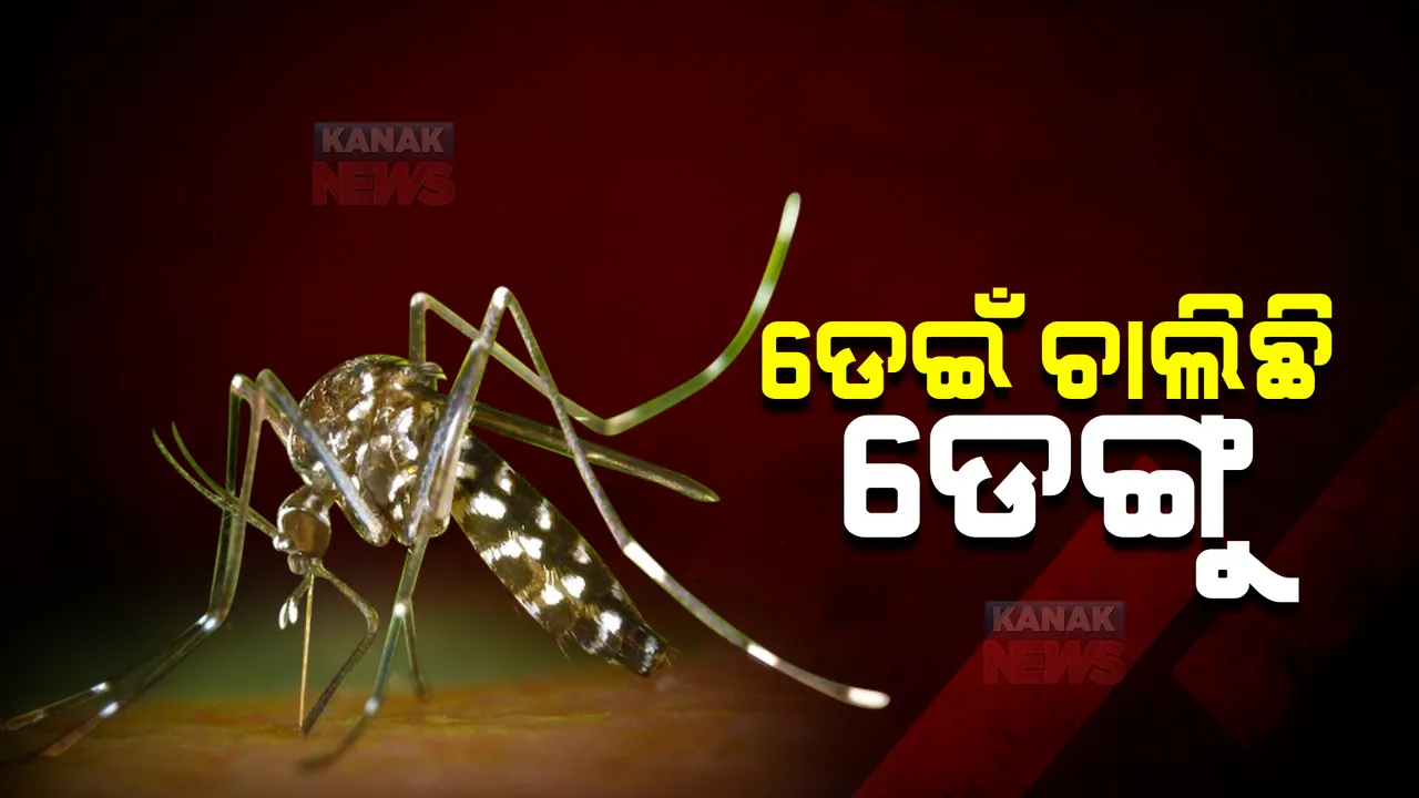  ଡେଇଁ ଚାଲିଛି ଡେଙ୍ଗୁ : କେଉଁଠି କେତେ ରୋଗୀ ଚିହ୍ନଟ ? 