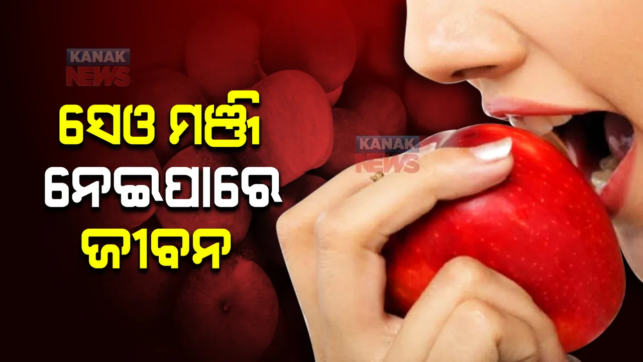  ସେଓ ମଞ୍ଜି ନେଇପାରେ ଜୀବନ  । ଜାଣନ୍ତୁ କେତେ ମଞ୍ଜି ହୋଇପାରେ ଘାତକ