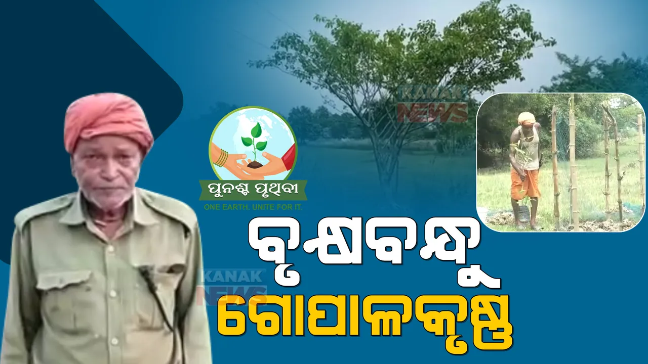  ୫ ହଜାର ଗଛ ଲଗାଇଛନ୍ତି ବୃକ୍ଷବନ୍ଧୁ ଗୋପାଳକୃଷ୍ଣ। ଦଶ ବର୍ଷ ଧରି ପରିବେଶ ସୁରକ୍ଷାର ବାଣ୍ଟୁଛନ୍ତି ବାର୍ତ୍ତା।