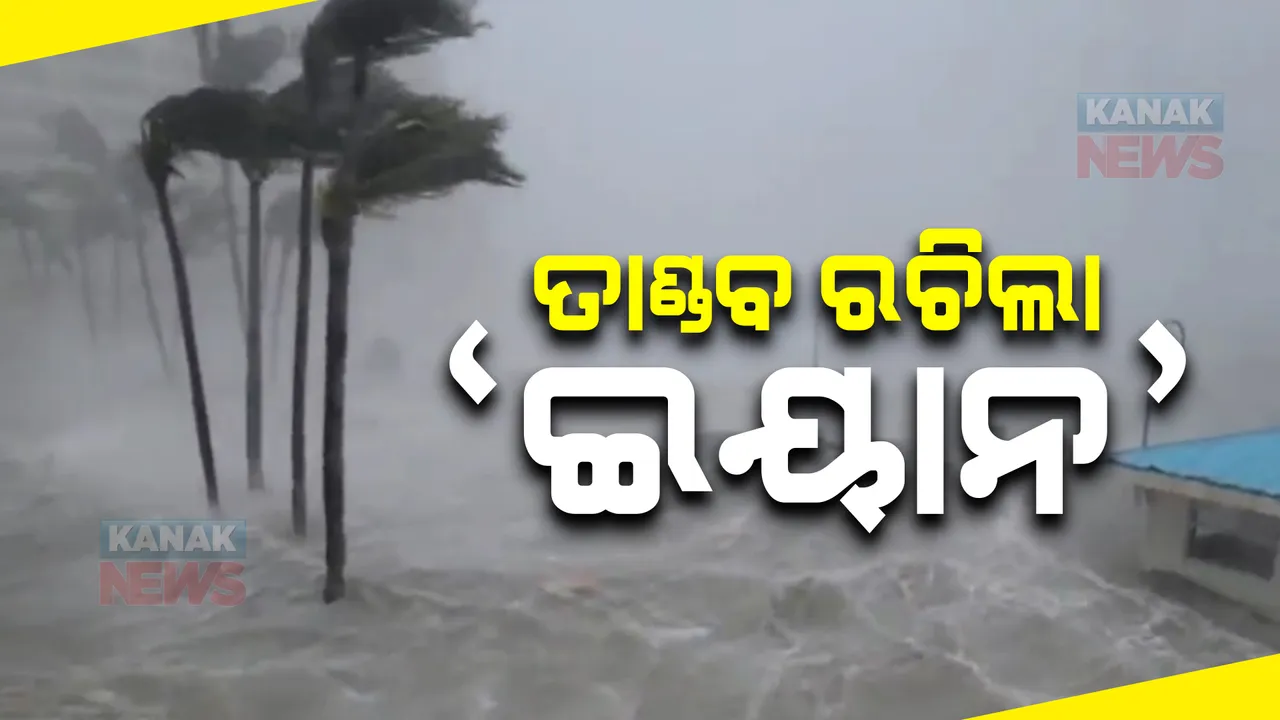  ତାଣ୍ଡବ ରଚିଲା ସାମୁଦ୍ରିକ ଝଡ଼ 'ଇୟାନ' : ଜୋରଦାର ପବନ ସାଙ୍ଗକୁ ବର୍ଷା; କ୍ୟାମେରାରେ କଏଦ ହେଲା ଝଡ଼ ତୋଫାନର ଦୃଶ୍ୟ