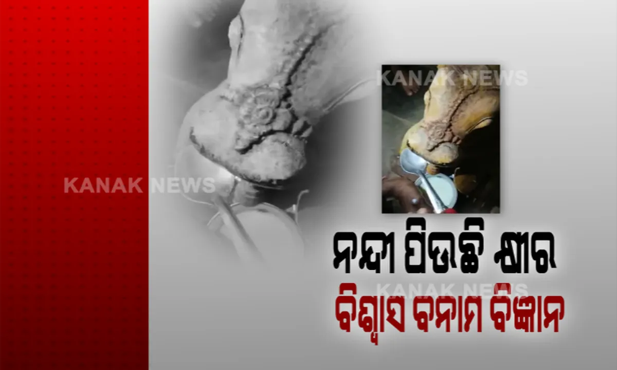  ବିଶ୍ୱାସ ବନାମ ବିଜ୍ଞାନ : ଶିବ ମନ୍ଦିରରେ ପଥର ବୃଷଭ ପିଉଛନ୍ତି କ୍ଷୀର; ସୋସିଆଲ ମିଡିଆରେ ଭିଡିଓ ଭାଇରାଲ
