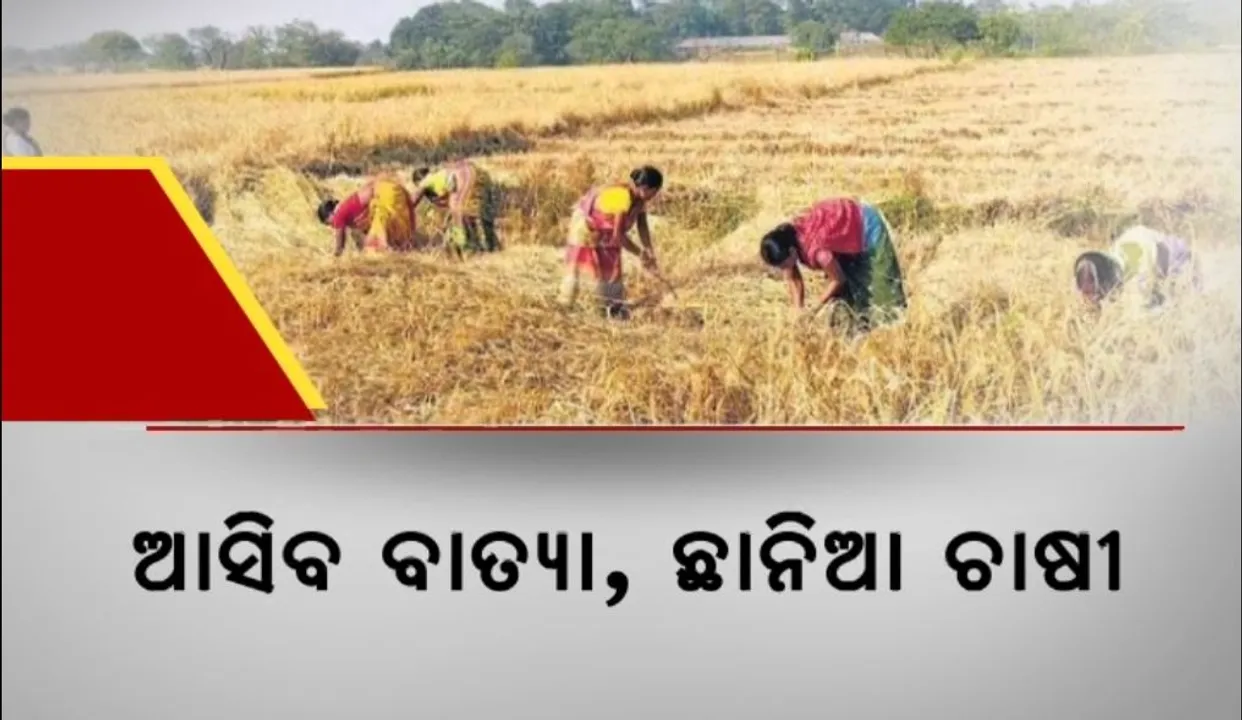  ବାତ୍ୟା ନେଇ ଛାନିଆ ଚାଷୀ, ସମୁଦ୍ରକୂଳକୁ ଫେରିଆସୁଛନ୍ତି ମତ୍ସ୍ୟଜୀବୀ।