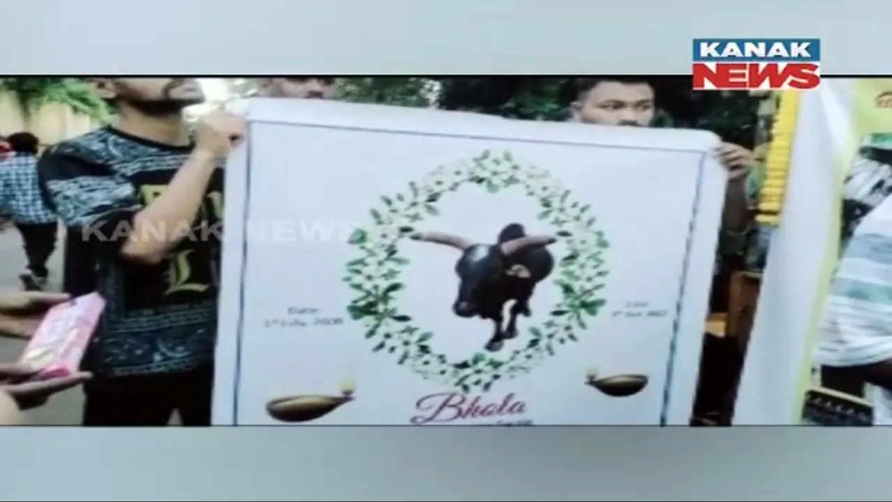  ଭୋଳା ପାଇଁ ଶୋଭାଯାତ୍ରା, ସାମିଲ ହେଲେ ଶହ ଶହ ଲୋକ।