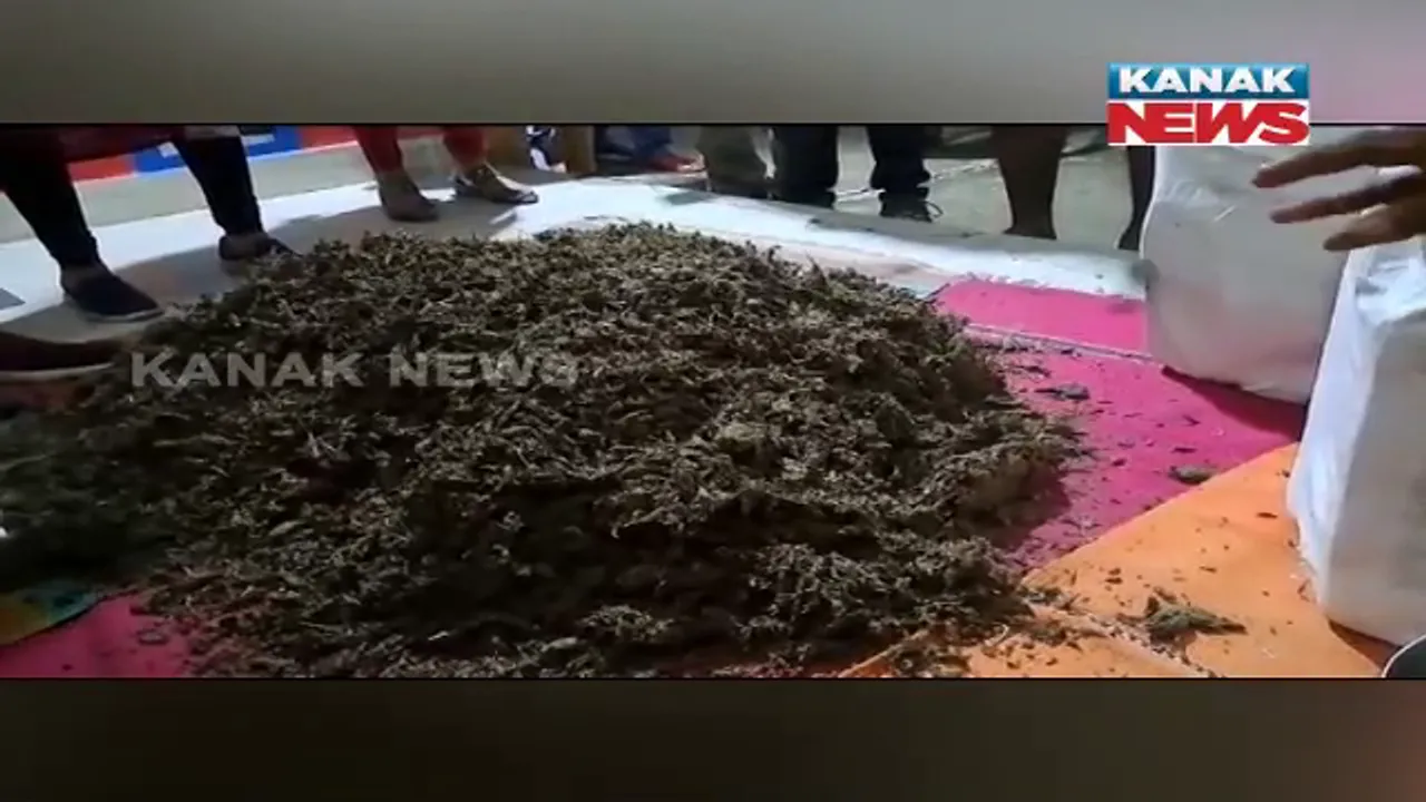  ଦୁର୍ଘଟଣାଗ୍ରସ୍ତ ସ୍କୋର୍ପିଓରୁ ୯୦ କେଜି ଗଞ୍ଜେଇ ଜବତ : ଡ୍ରାଇଭର ଓ ଦୁଇ ସହଯୋଗୀ ଫେରାର; କିଏ ଅର୍ଡର କରିଥିଲା ଏବଂ କେଉଁଠୁ ଆସୁଥିଲା ଗଞ୍ଜେଇ ଉଠିଲା ପ୍ରଶ୍ନ