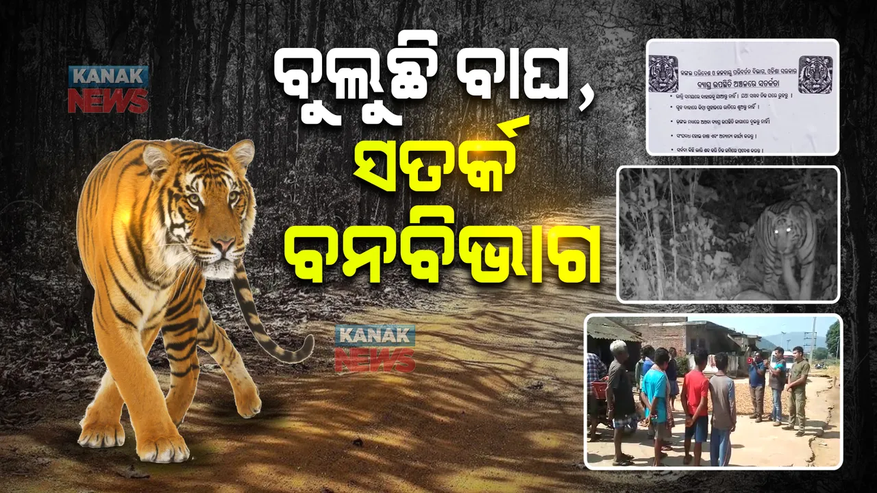  ବାଘ ଆତଙ୍କ ପରେ ସତର୍କ କଲା ବନ ବିଭାଗ : ଜଙ୍ଗଲକୁ ନ ଯିବା ପାଇଁ ପୋଷ୍ଟର ଲଗାଇ ସଚେତନ