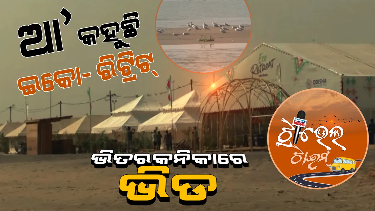 ପିକନିକ୍ ଋତୁରେ ଭିତରକନିକାରେ ଲାଗିଲାଣି ଭିଡ । ପର୍ଯ୍ୟଟକଙ୍କ ପ୍ରଥମ ପସନ୍ଦ ଇକୋ- ରିଟ୍ରିଟ ।