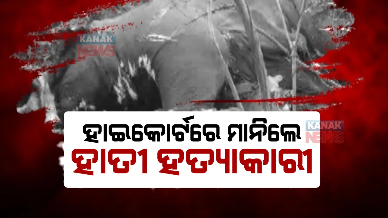  ହାତୀକୁ ହତ୍ୟା କରି ପୋଡି଼ ଦେବା ଘଟଣା: ବହିଷ୍କୃତ କର୍ମଚାରୀଙ୍କ ନାଁରେ ହୋଇନି ମାମଲା।
