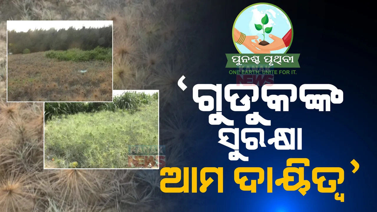  ଗୁଡୁକଙ୍କ ସୁରକ୍ଷା ଆମ ଦାୟିତ୍ୱ। ଅସ୍ତରଙ୍ଗରେ ସମୁଦ୍ରକୂଳର ସାଜିଛି ସୁରକ୍ଷା କବଚ।