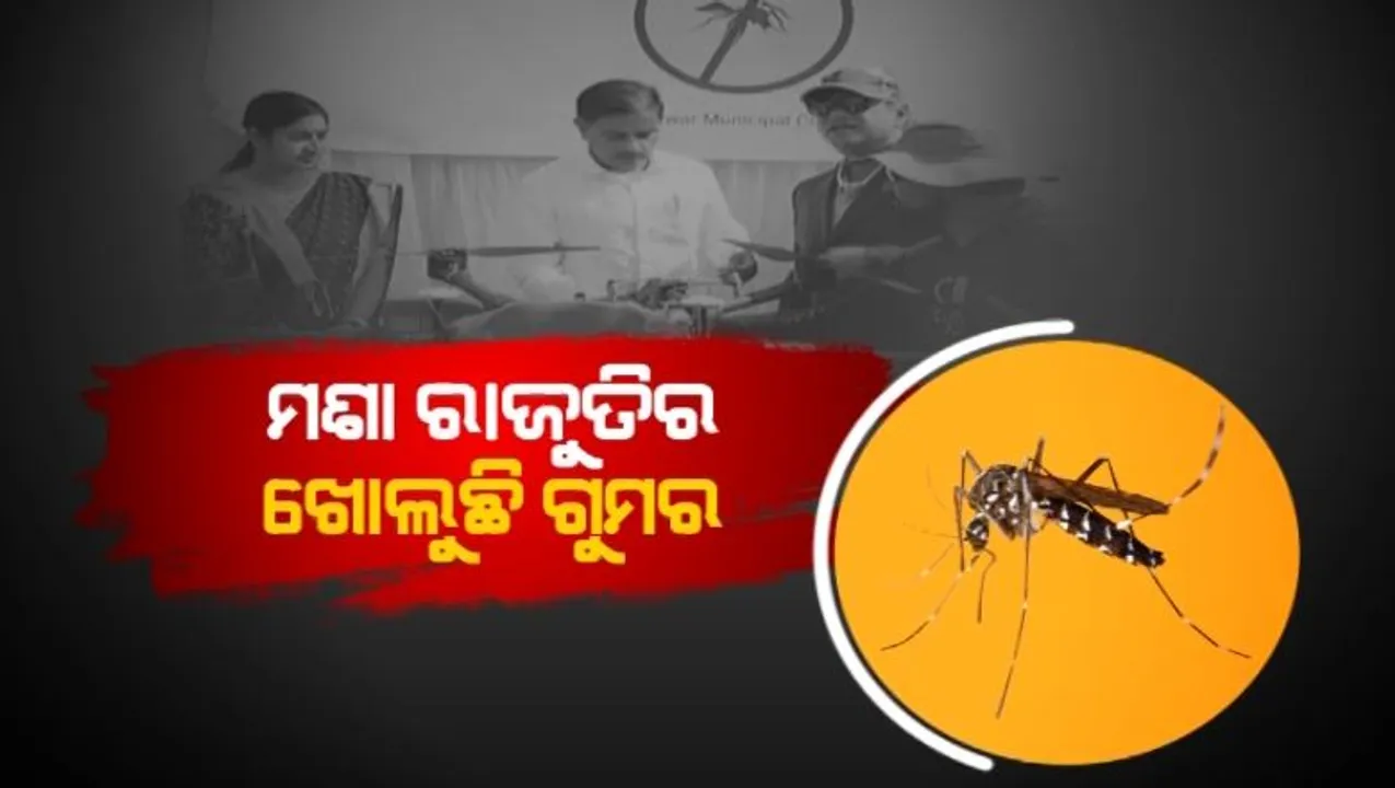  ରାଜଧାନୀରେ କାହିଁକି ବଢ଼ିଲା ମଶାଙ୍କ ଉତ୍ପାତ, ଜଣାପଡ଼ିଲା କାରଣ। କରୋନା ଦୁଇ ବର୍ଷ ବନ୍ଦ ଥିଲା ମଶା ମରା ଅଭିଯାନ।