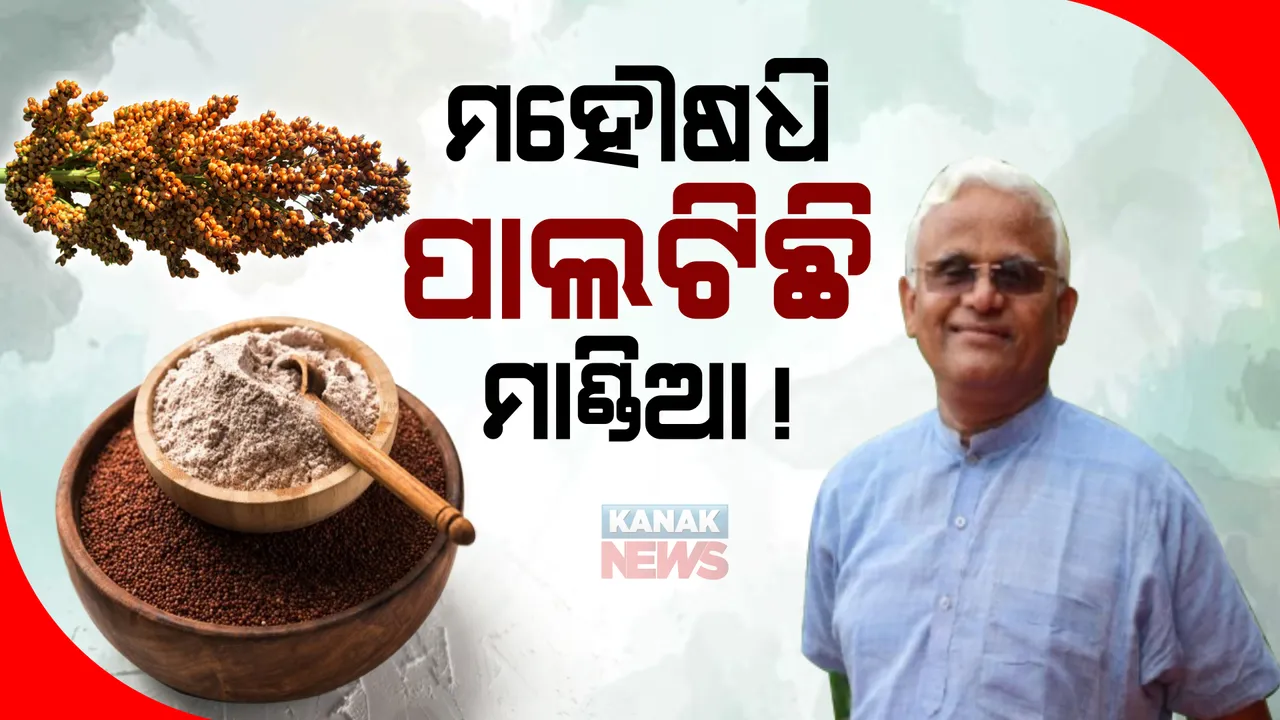  ଖାଦ୍ୟଶସ୍ୟର ଉପକାରିତା ବଖାଣିଲେ ଆମେରିକା ଫେରନ୍ତା ଡାକ୍ତର କାଦର ଭାଲ୍ଲି। ୨୫ ବର୍ଷ ଧରି ଛୁଇଁପାରିନି କୌଣସି ରୋଗ।