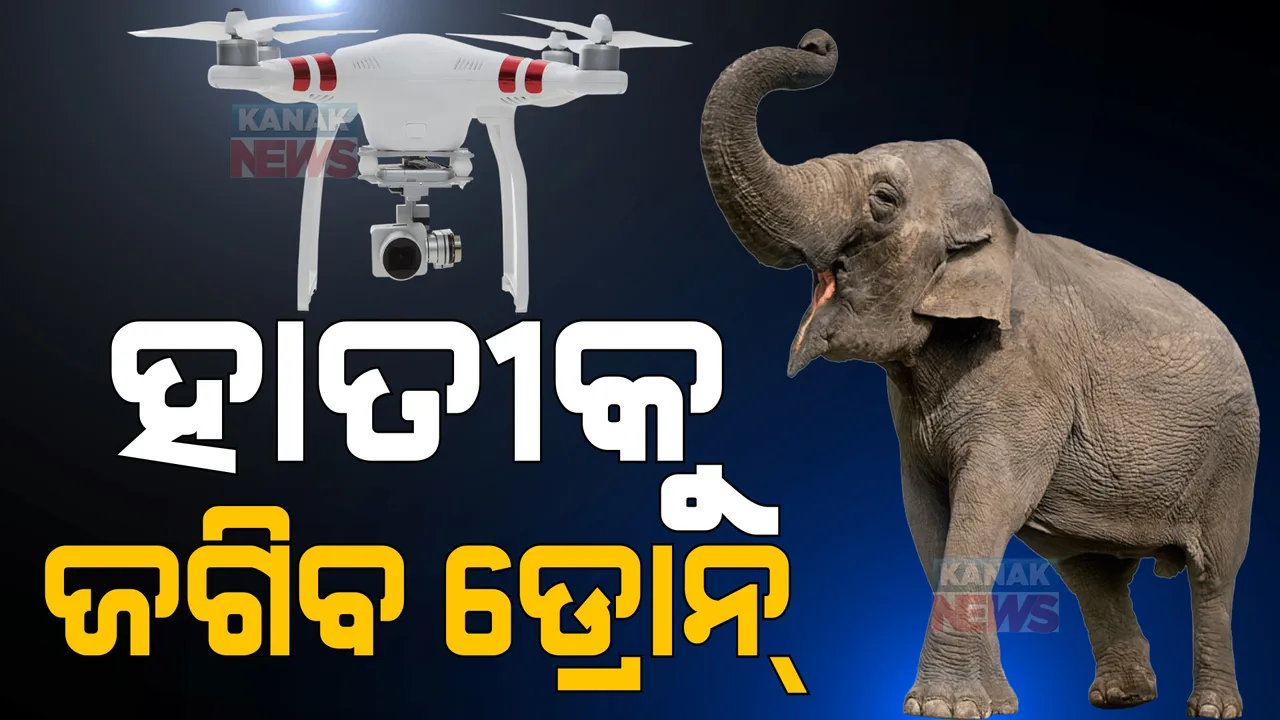  ଓଡ଼ିଶାରେ ପ୍ରଥମ, ହାତୀଙ୍କୁ ଜଗିବ ଥର୍ମାଲ ଡ୍ରୋନ୍‌ : ପ୍ରତିଟି ଗତିବିଧି ଉପରେ ନଜର ରଖିବାକୁ ବ୍ୟବସ୍ଥା