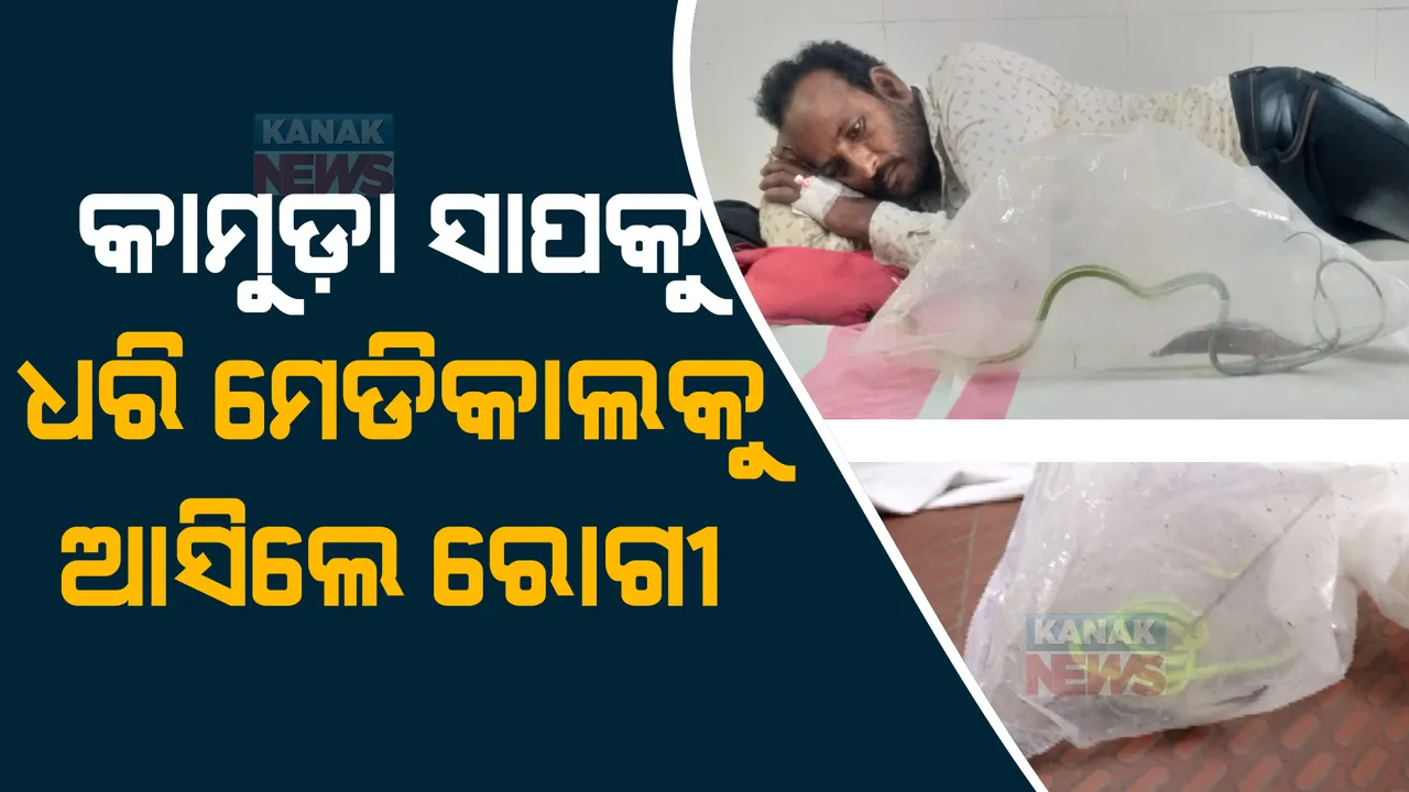  କାମୁଡା ସାପକୁ ଧରି ମେଡିକାଲ ଆସିଲେ ରୋଗୀ