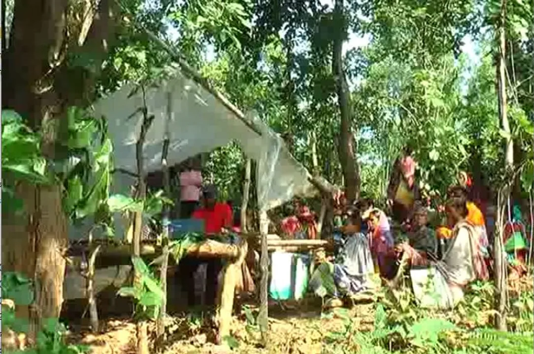  କନ୍ଧମାଳ ଜିଲ୍ଲା ଫିରିଙ୍ଗିଆ ବ୍ଲକରେ ଘଞ୍ଚ ଜଙ୍ଗଲ ଭିତରେ ଗ୍ରାହକ ସେବାକେନ୍ଦ୍ର। ନିର୍ଦ୍ଦିଷ୍ଟ ଜାଗାରେ ବସି ଲୋକଙ୍କୁ ଯୋଗାଇଦିଆଯାଉଛି ଅନଲାଇନ ସେବା।