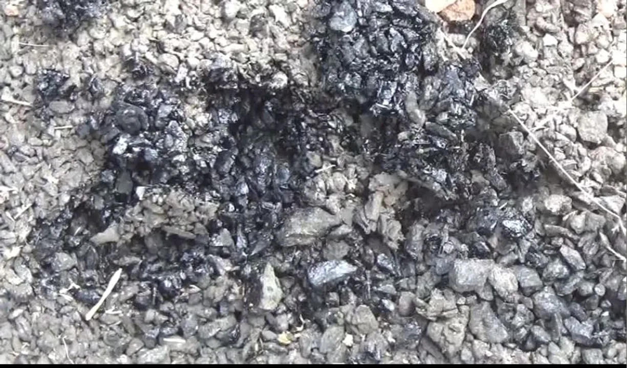  ନିର୍ମାଣର କିଛି ଦିନ ପରେ ରାସ୍ତାର ଅବସ୍ଥା ଶୋଚନୀୟ। ଉଦଳାରୁ ଆସିଲା ଦୁର୍ନୀତିର ସାଙ୍ଘାତିକ ଅଭିଯୋଗ।