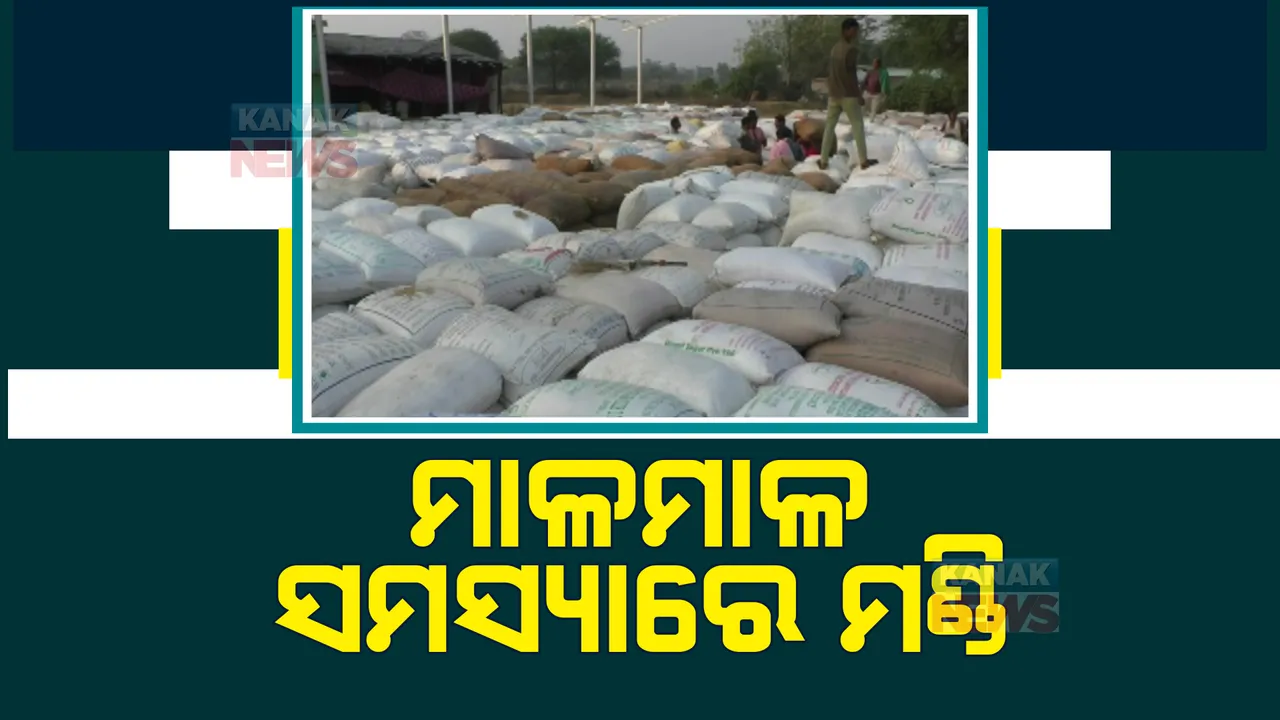  ମଣ୍ଡି ଆରମ୍ଭରୁ ଅବ୍ୟବସ୍ଥା। ଖୋଲା ଆକାଶ ତଳେ ପଡ଼ିଛି ଚାଷୀଙ୍କ କୁଇଣ୍ଟାଲ, କୁଇଣ୍ଟାଲ ଧାନ।