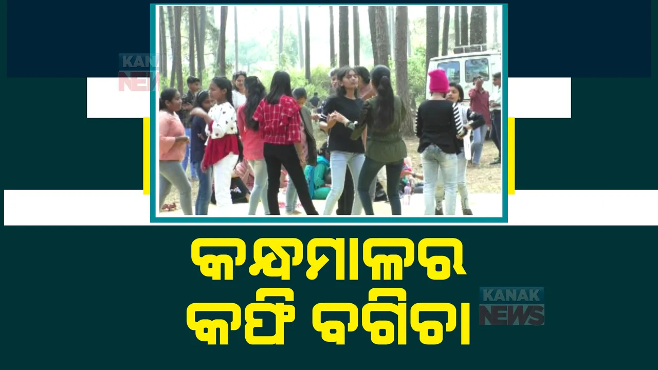 ପ୍ରାକୃତିକ ସୌନ୍ଦର୍ଯ୍ୟର ଗନ୍ତାଘର କନ୍ଧମାଳ। କଫି ବଗିଚା ବୁଲିବାକୁ ଜମୁଛି ପର୍ଯ୍ୟଟକଙ୍କ ଭିଡ଼ ।