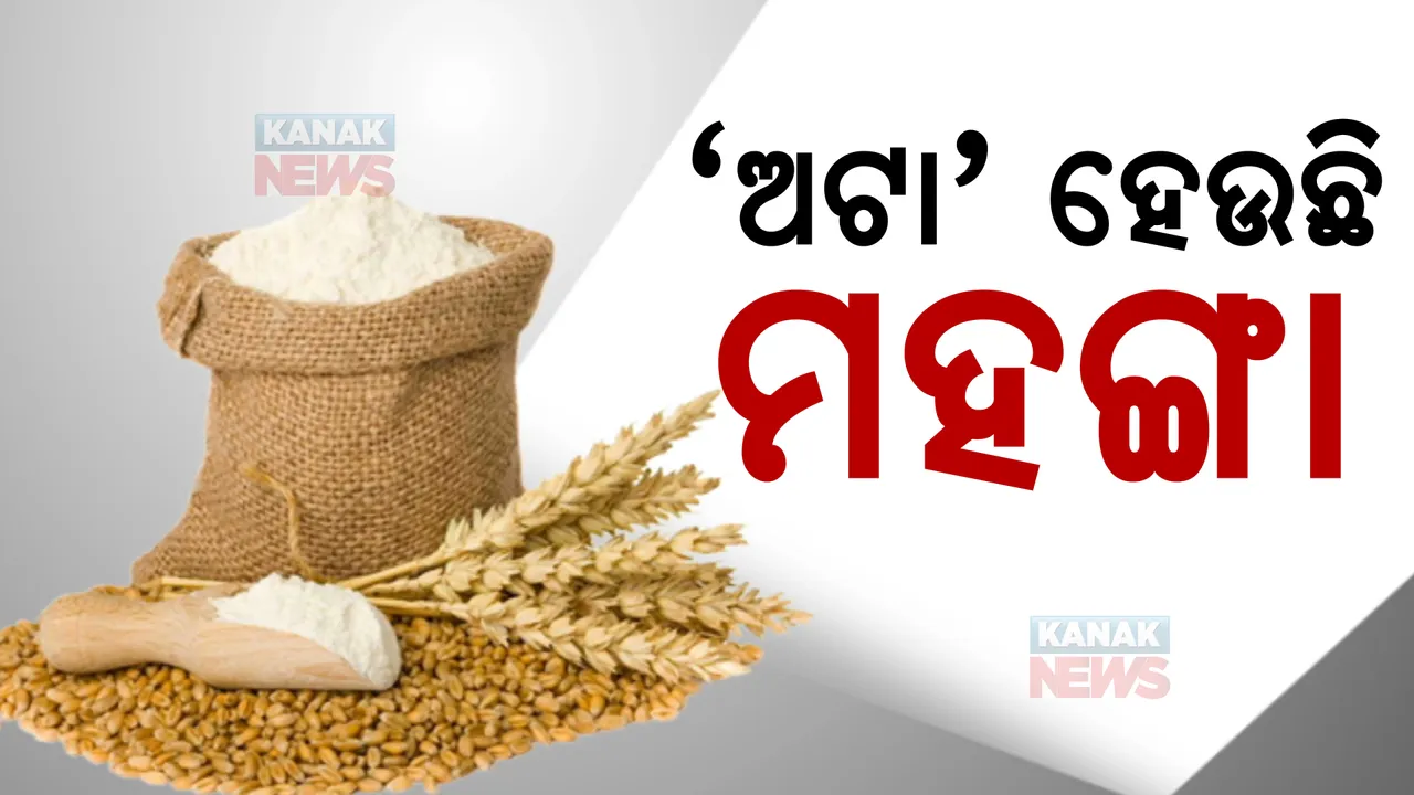  ଅଟା ହେଉଛି ମହଙ୍ଗା, ବର୍ଷକରେ ବଢ଼ିଲାଣି ୪୦ପ୍ରତିଶତ। ୪୦ରୁ ୪୫ଟଙ୍କାରେ ପହଞ୍ଚିଲା କିଲୋ ପିଛା ପ୍ୟାକେଟ ଅଟା ଦାମ।