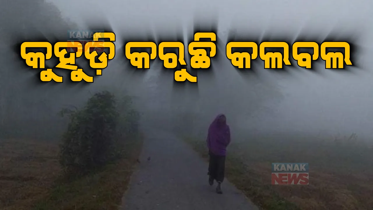  କୁହୁଡି କରୁଛି କଲବଲ