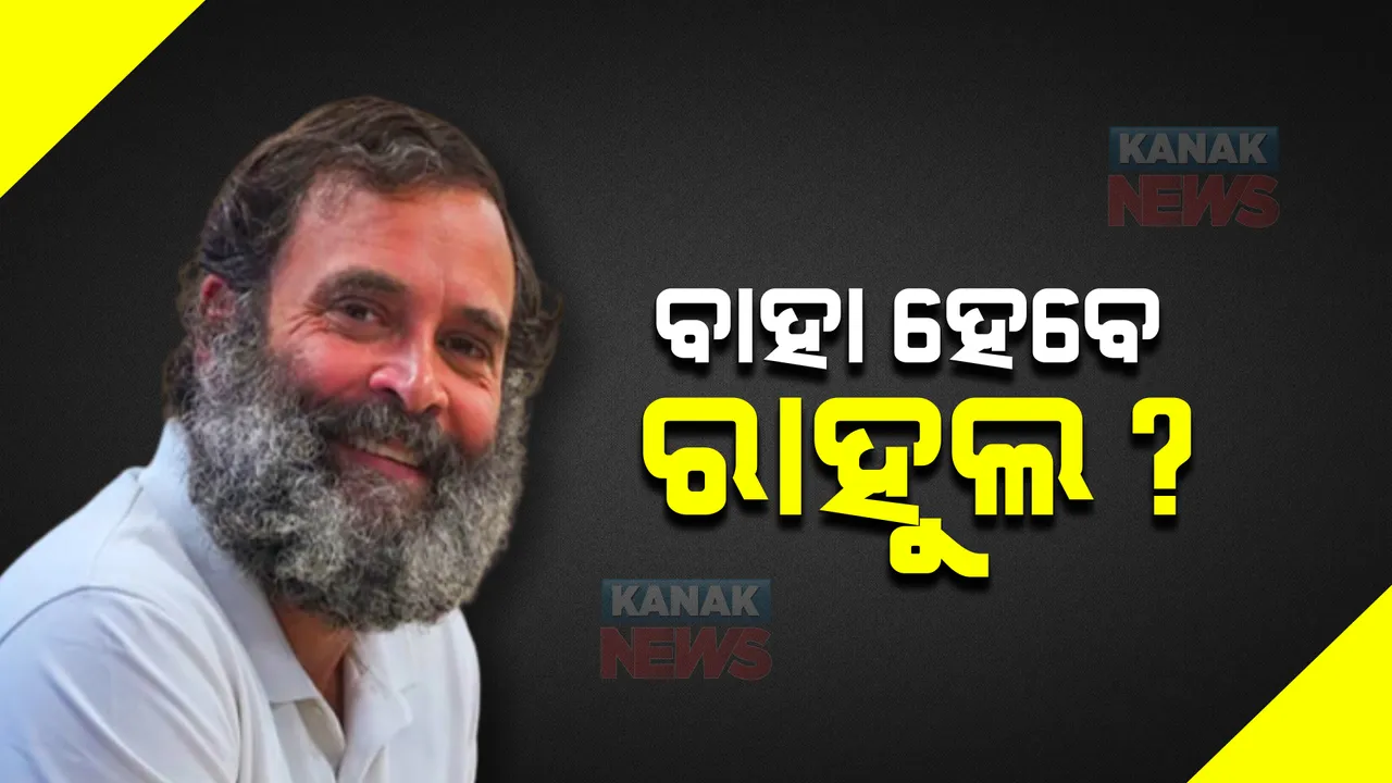  ବିବାହକୁ ନେଇ ଚର୍ଚ୍ଚାରେ ରାହୁଲ ଗାନ୍ଧୀଙ୍କ ବୟାନ୍: କହିଲେ, ଉପଯୁକ୍ତ ଜୀବନସାଥୀ ମିଳିଲେ କରିବେ ବିବାହ