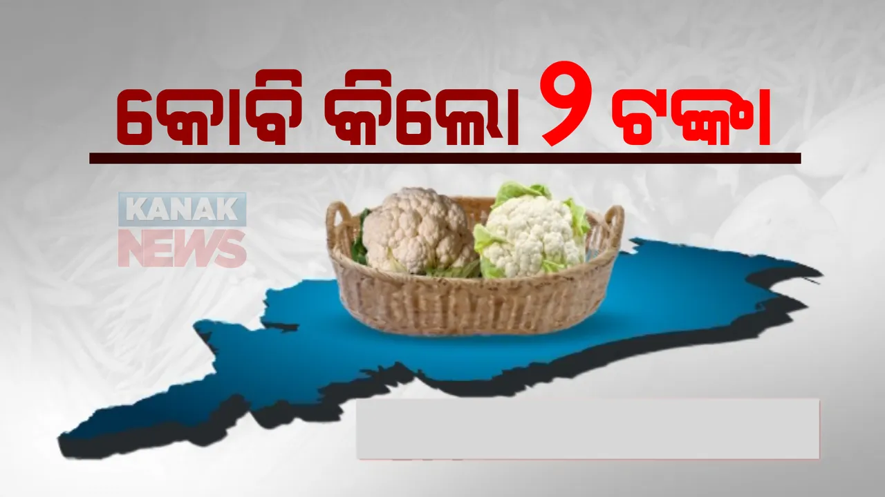  ପରିବା ଫଳାଇ ମୁଣ୍ଡରେ ହାତ ଦେଇ ବସିଛି ଚାଷୀ । ଉଠୁନି ଅମଳ ଖର୍ଚ୍ଚ, ବିଲରେ ବଡ଼ି ରହିଛି କୋବି ଓ ପନିପରିବା । ଶୀତଳ ଭଣ୍ଡାର ନଥିବାରୁ ଅସହାୟ ସ୍ଥିତି