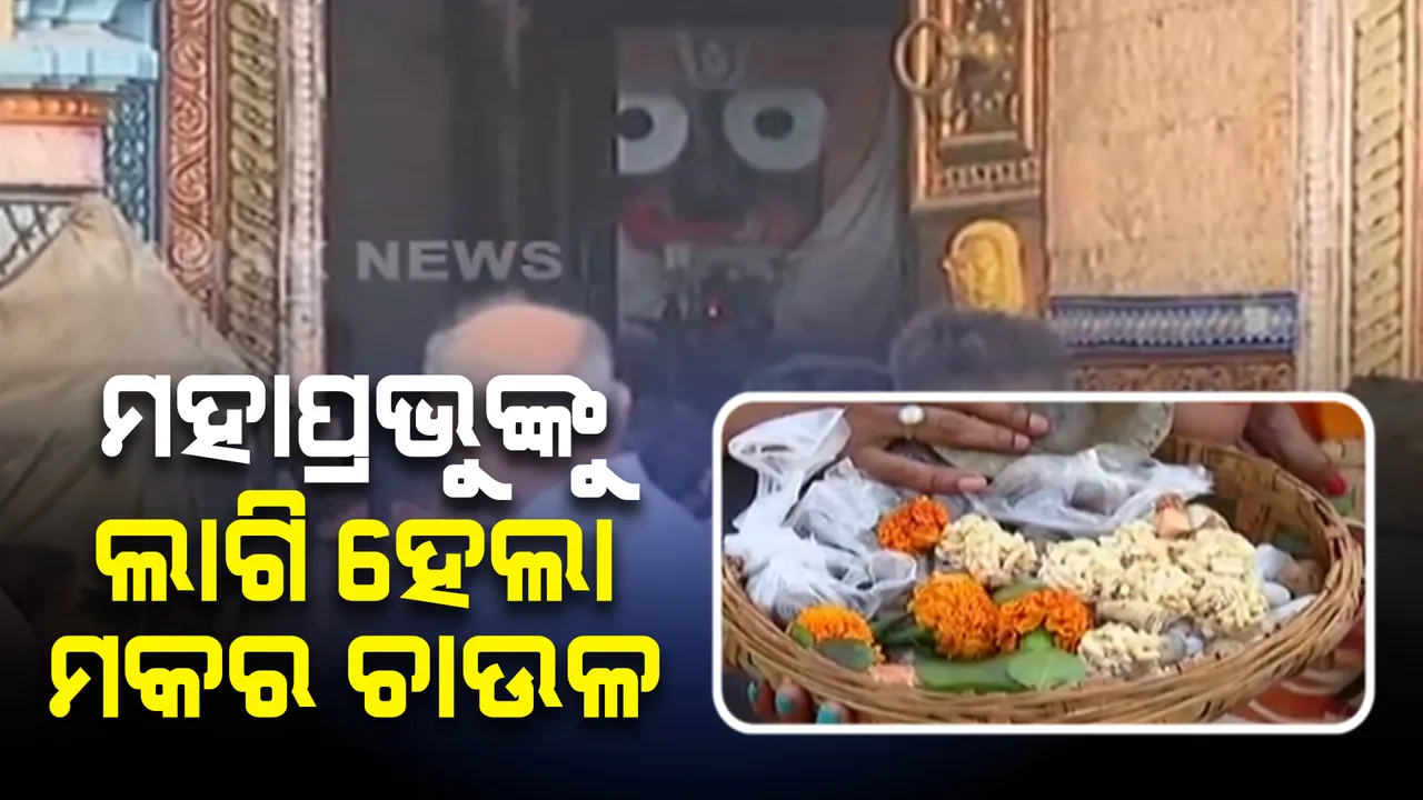  ମହାପ୍ରଭୁଙ୍କ ନିକଟରେ ଲାଗି ହେଲା ମକର ଚାଉଳ । ବଡ ଠାକୁରଙ୍କ ଦର୍ଶନ ପାଇଁ ଲାଗିଛି ଭକ୍ତଙ୍କ ଗହଳି