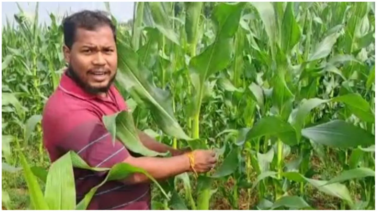  ଡିପ୍ଲୋମା ଇଂଜିନିୟରରୁ ସଫଳ ଚାଷୀ। ଶୁଭେନ୍ଦୁ ବର୍ଷକୁ ରୋଜଗାର କରୁଛନ୍ତି ଲକ୍ଷାଧିକ ଟଙ୍କା।