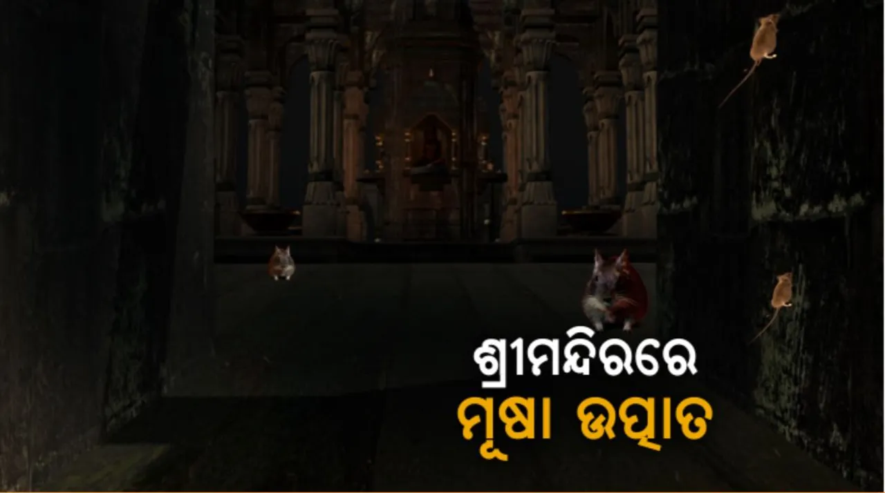  ଶ୍ରୀମନ୍ଦିରରେ ମୂଷା ଉତ୍ପାତ