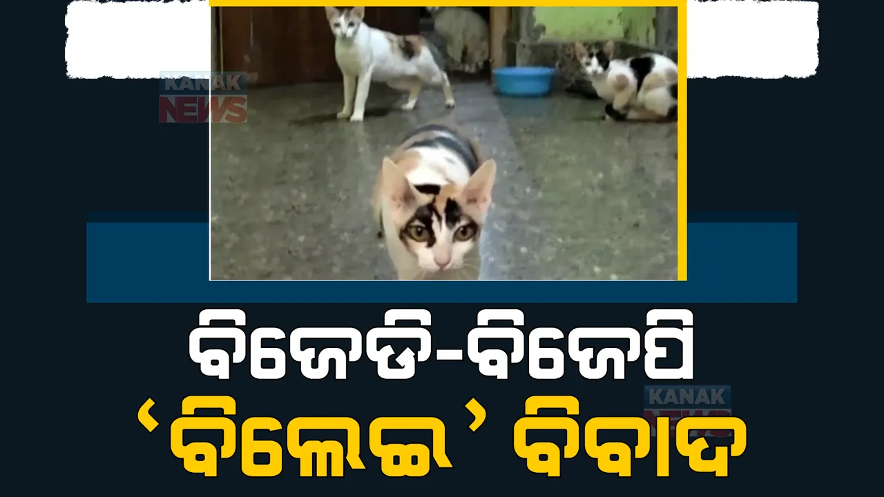  ବିଲେଇ ବିବାଦରେ ଲାଗିଲା ରାଜନୀତିର ରଙ୍ଗ। ଏସପିଙ୍କୁ ଫେରାଦ ହେଲେ ବିଲେଇ ମାଲିକ ଓ ଛତ୍ରପୁର ପାଣି କଲୋନୀ ବାସିନ୍ଦା।