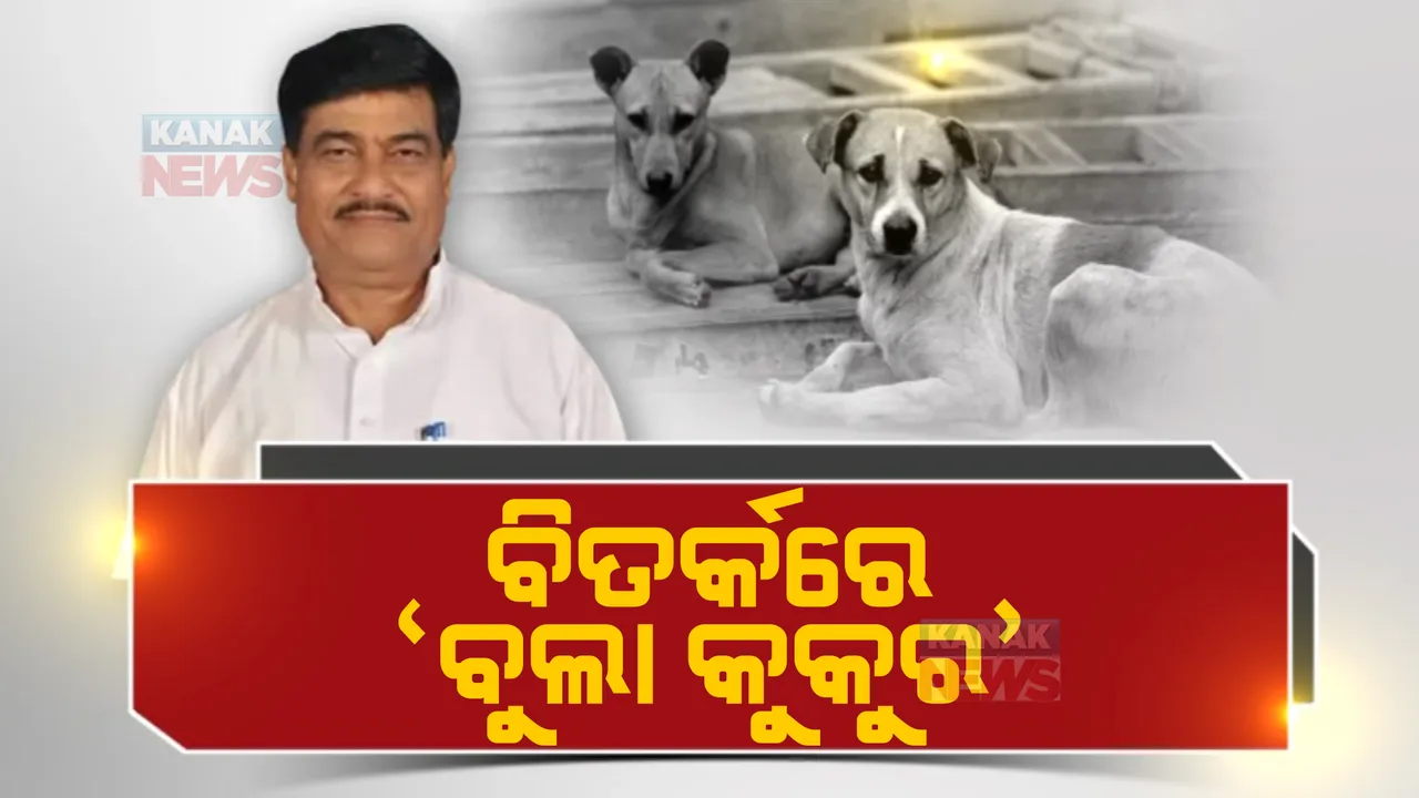  ରାସ୍ତାରୁ ହଟିବେ ବୁଲା କୁକୁର! ନିର୍ଦ୍ଦେଶ ଦେଲେ ପଶୁ ସମ୍ପଦ ମନ୍ତ୍ରୀ