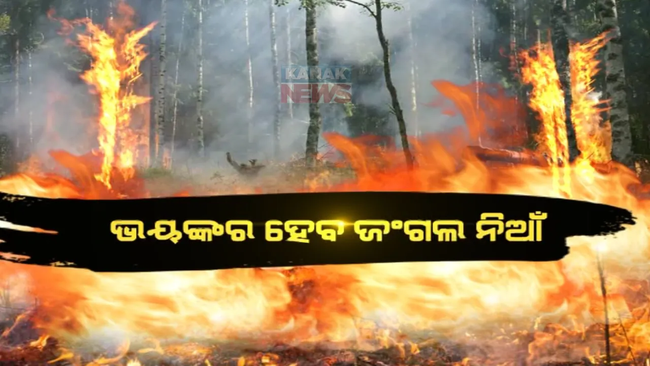  ଭୟଙ୍କର ହେବ ଜଙ୍ଗଲ ନିଆଁ । ମୁକାବିଲା ପାଇଁ ବନବିଭାଗ କରୁଛି ବ୍ଲୁପ୍ରିଂଟ