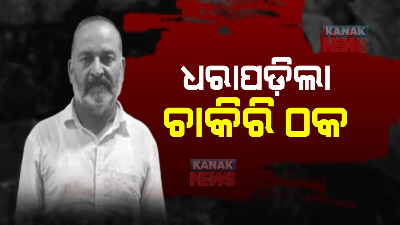 ଦେଶର ସବୁଠୁ ବଡ ଚାକିରି ଠକେଇର ଆଉ ଜଣେ ଅଭିଯୁକ୍ତ ଗିରଫ । ୧୭ଟି ରାଜ୍ୟରେ ନାମୀଦାମୀ ଖବର କାଗଜରେ ସରକାରୀ ଚାକିରିର ବିଜ୍ଞାପନ ଦେଇ କରୁଥିଲେ ଠକେଇ