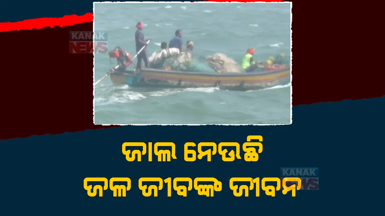  କଟକଣା ପରେ ବି ସମୁଦ୍ରରେ ବ୍ୟବହାର ହେଉଛି ରିଂ ଜାଲ ଓ ଫାଶୀ ଜାଲ। ଜାଲ ନେଉଛି ଜଳ ଜୀବଙ୍କ ଜୀବନ।
