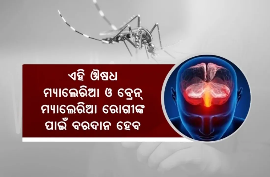  ଓଡ଼ିଶାରୁ ବାହାରିଲା ବ୍ରେନ୍ ମ୍ୟାଲେରିଆ ଔଷଧ। ଆଇଏଲ୍ଏସ୍ ବରିଷ୍ଠ ବୈଜ୍ଞାନିକ ଅରୁଣ ନାଗରାଜ ଓ ତାଙ୍କ ଟିମଙ୍କ ଉଦ୍ଭାବନ ।