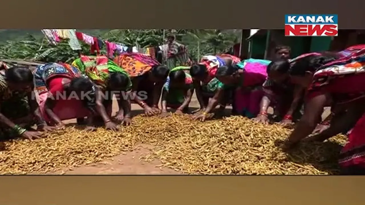  ଅନଲାଇନରେ ଉପଲବ୍ଧ ହେବ କୋରାପୁଟର କାଜୁ, କଫି ଓ କଳାଜିରା ଚାଉଳ। ବ୍ୟବସାୟୀ ଓ ଗ୍ରାହକଙ୍କ ମଧ୍ୟରେ ସିଧାସଳଖ ସମ୍ପର୍କ ସ୍ଥାପନ।