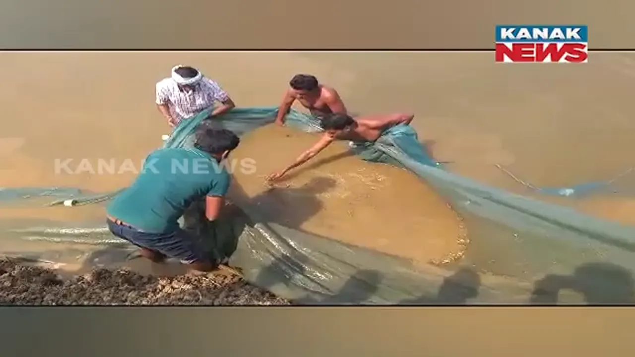  କେନ୍ଦ୍ରାପଡ଼ାର ଉଦ୍ୟୋଗୀ ମହିଳା, ୩୦ ଏକର ଜମିରେ ମାଛ ଜାଆଁଳ କେନ୍ଦ୍ର କରି କରୁଛନ୍ତି ରୋଜଗାର ।