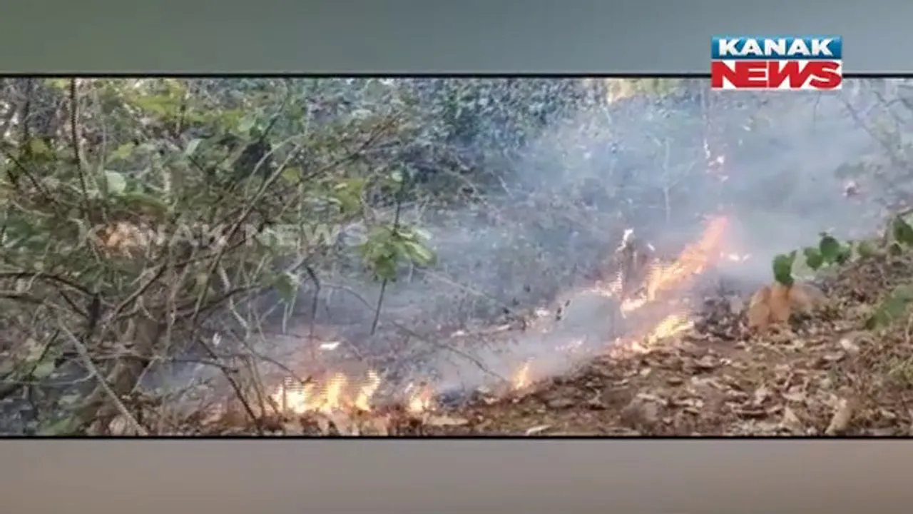  ତାଳସାହି ପାହାଡରେ ନିଆଁ, ଆୟତ୍ତ ପାଇଁ ବନ ବିଭାଗର ଉଦ୍ୟମ ଜାରି