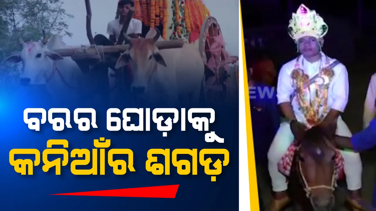  ବରର ଘୋଡାକୁ, କନିଆଁର ଶଗଡ