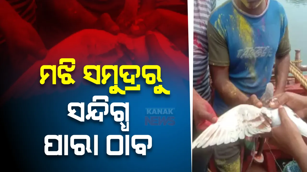  ମଝି ସମୁଦ୍ରରେ ଟ୍ରଲର ଭିତରେ ଉଦ୍ଧାର ହେଲା ସନ୍ଦିଗ୍ଧ ପାରା। ପାରାଦୀପ କୋଣାର୍କ ମଝିରେ ଠାବ କଲେ ମତ୍ସ୍ୟଜୀବୀ।