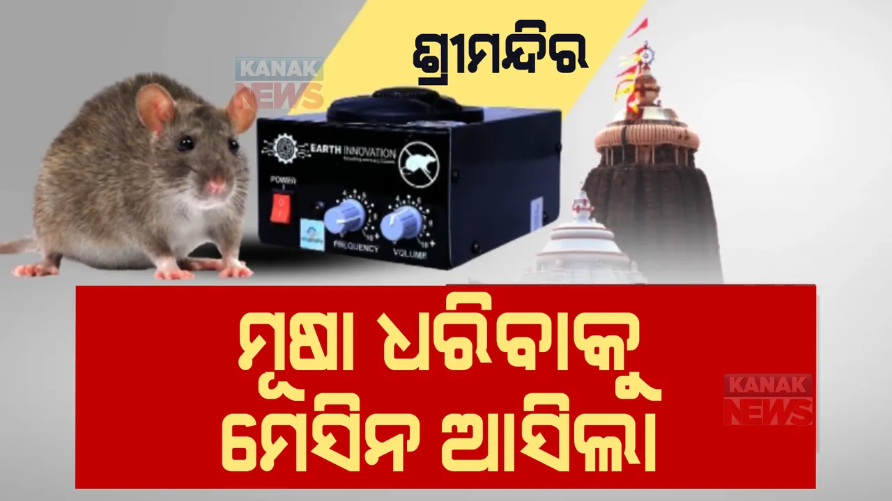  ଶ୍ରୀମନ୍ଦିର ଗର୍ଭଗୃହରେ ବଢୁଛି ମୂଷାଙ୍କ ଉତ୍ପାତ । ମୂଷା ଧରିବା ପାଇଁ ଲାଗିବ ମେସିନ୍ । ସେବାୟତ କହିଲେ ଏମିତି କଥା...