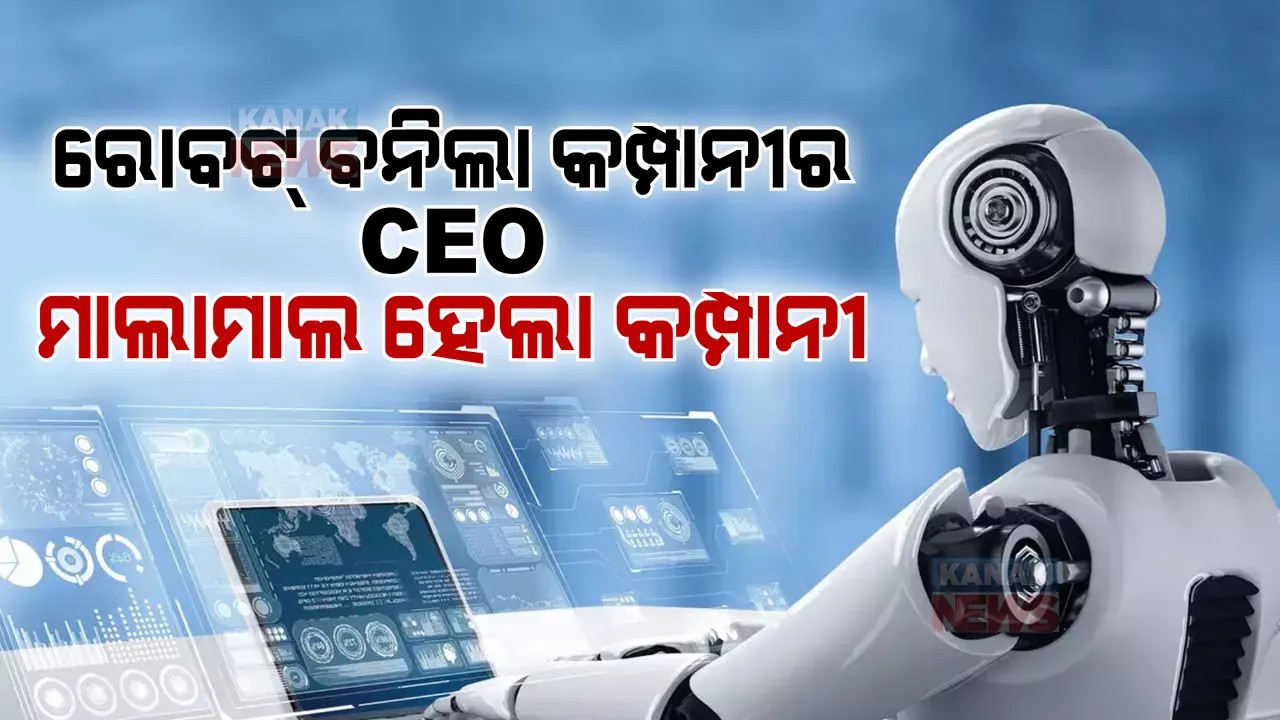  ରୋବଟ୍ ବନିଲା କମ୍ପାନୀର CEO । ବଢିଲା ସେୟାରର ମୂଲ୍ୟ, ମାଲାମାଲ ହେଲା କମ୍ପାନୀ
