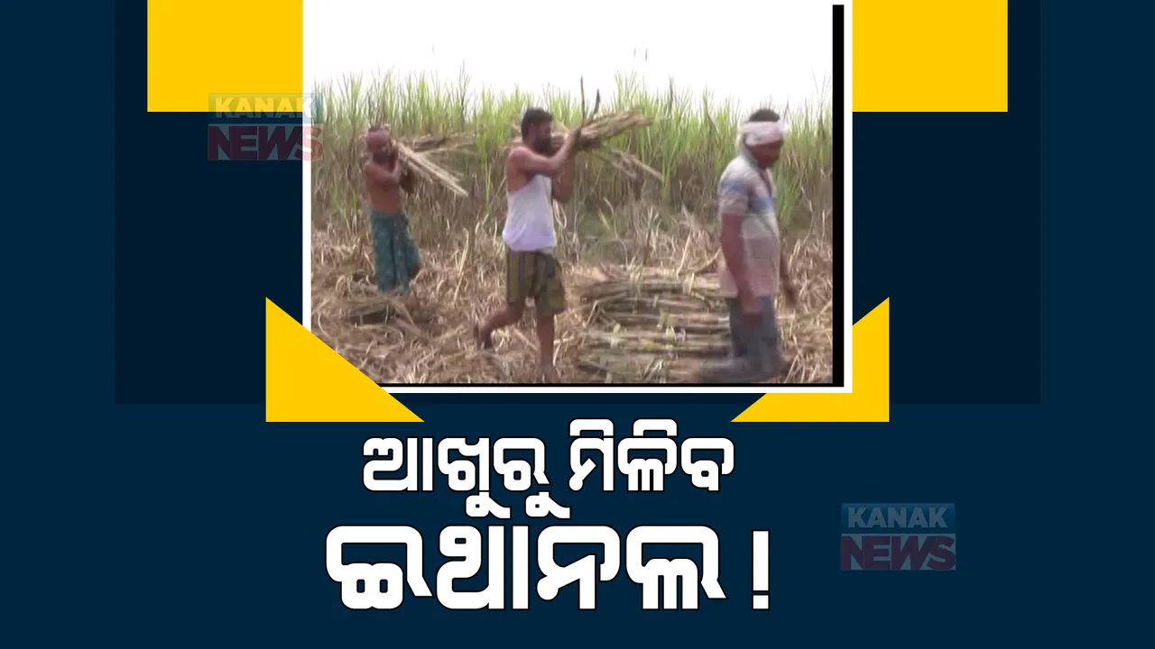  ଆଖୁରୁ ବାହାରିବ ଇଥାନଲ: ଆଉ ରହିବନି ଆଖୁ ଚାଷୀଙ୍କ ଆଖିରେ ଲୁହ