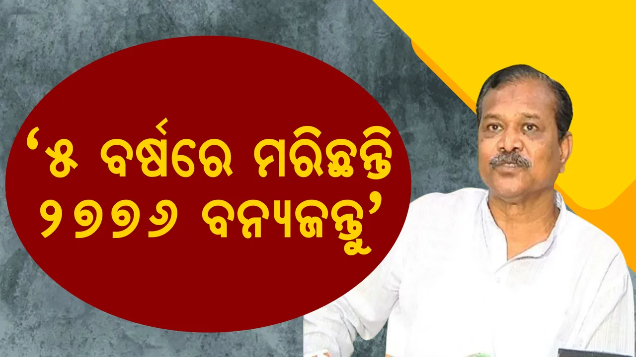  ହାତୀଙ୍କ ଉପଦ୍ରବରେ ଗତ ୫ ବର୍ଷରେ ଯାଇଛି ୬୬୯ ଜୀବନ । ବନ୍ୟପ୍ରାଣୀ ଜନିତ କ୍ଷୟକ୍ଷତି ପାଇଁ ମିଳିଛି ୧୦୦ କୋଟିରୁ ଅଧିକ ଟଙ୍କାର ଅନୁକମ୍ପା ରାଶି । ଗୃହରେ ଉତ୍ତର ରଖିଲେ ମନ୍ତ୍ରୀ ।