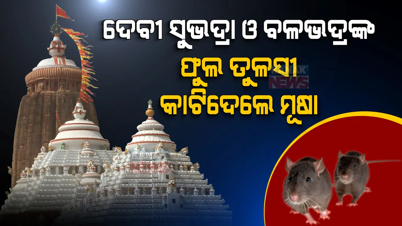  ସମ୍ପୂର୍ଣ୍ଣ ସୁରକ୍ଷିତ ଅଛି ମହାପ୍ରଭୁଙ୍କ ଶ୍ରୀଅଙ୍ଗ : ବସ୍ତ୍ର ଓ ଫୁଲ ତୁଳସୀ କାଟି ଦେଇଛନ୍ତି ମୂଷା;ଶ୍ରୀଅଙ୍ଗର ସ୍ଥିତି ଅନୁଧ୍ୟାନ ପରେ ସୂଚନା ଦେଲେ ସେବାୟତ